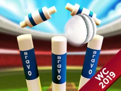 Mini Cricket: Ground Championship World Cup 2019 — δωρεάν online παιχνίδι
