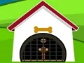 Ostrich Rescue — δωρεάν online παιχνίδι