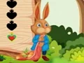 Squirrel Escape — δωρεάν online παιχνίδι