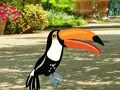 Find Woodpecker Pair — δωρεάν online παιχνίδι