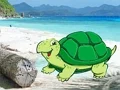 Beach Crab Pair Escape — δωρεάν online παιχνίδι