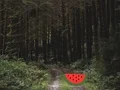 Dense Forest Deer Escape — δωρεάν online παιχνίδι