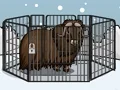 Rescue The Musk Ox — δωρεάν online παιχνίδι