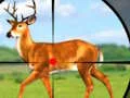 Wild Hunt Hunting Games 3D — δωρεάν online παιχνίδι