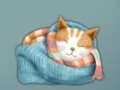 Adorable Escape Find Cute Kitten — δωρεάν online παιχνίδι