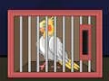 Release The Cockatiel Bird — δωρεάν online παιχνίδι