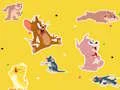 The Tom and Jerry Show Find it! — δωρεάν online παιχνίδι