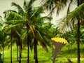 Escape From Coconut Land — δωρεάν online παιχνίδι