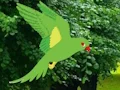 Parrot Find The Nest — δωρεάν online παιχνίδι