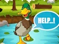 Help The Charming Duck — δωρεάν online παιχνίδι