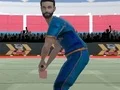 Cricket Powerplay — δωρεάν online παιχνίδι