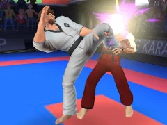 Karate Fighter — δωρεάν online παιχνίδι