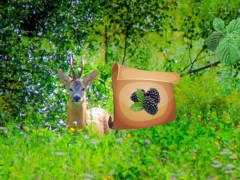Return To Alsunga Forest — δωρεάν online παιχνίδι