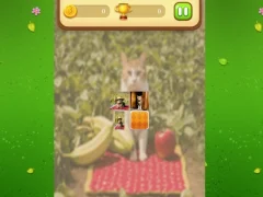 Farm Cat Memory Match — δωρεάν online παιχνίδι