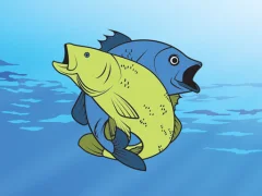 Friendly Fish Coloring — δωρεάν online παιχνίδι