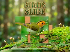 Birds Slide — δωρεάν online παιχνίδι