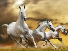 Running Horse Slide — δωρεάν online παιχνίδι