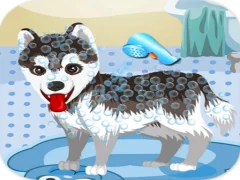 My Cute Dog Bathing — δωρεάν online παιχνίδι