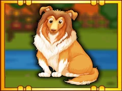 Bernese Mountain Dog Escape — δωρεάν online παιχνίδι