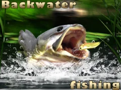 Backwater Fishing — δωρεάν online παιχνίδι