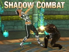 Shadow Combat — δωρεάν online παιχνίδι