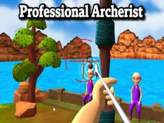 Professional Archerist — δωρεάν online παιχνίδι
