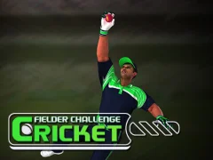 Cricket Fielder Challenge — δωρεάν online παιχνίδι