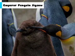 Emperor Penguin Jigsaw — δωρεάν online παιχνίδι