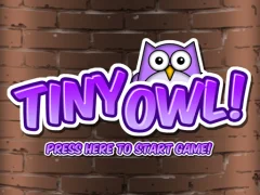 Tiny Owl — δωρεάν online παιχνίδι