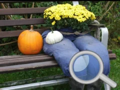 Autumn Garden Find 100 butterflies — δωρεάν online παιχνίδι