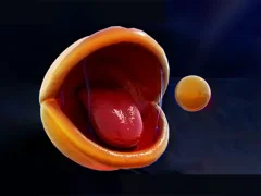 Pac-Man — δωρεάν online παιχνίδι