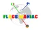 Flags Maniac — δωρεάν online παιχνίδι