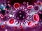 Coronavirus Puzzle — δωρεάν online παιχνίδι