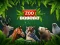 ZOO Trivia — δωρεάν online παιχνίδι