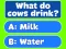 Trivia! Best Family Quiz — δωρεάν online παιχνίδι
