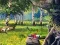Scout Camp — δωρεάν online παιχνίδι