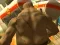 Monster Simulator — δωρεάν online παιχνίδι