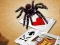 Jumping Spider — δωρεάν online παιχνίδι