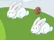 Crazy Eggs — δωρεάν online παιχνίδι