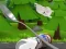 Monte's Zott: Flight on a spoon — δωρεάν online παιχνίδι