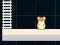 Hamster Grid Even Odd — δωρεάν online παιχνίδι
