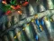 Fishing King — δωρεάν online παιχνίδι