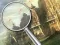 Forest 5 Differences — δωρεάν online παιχνίδι