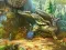 Notes from Fantasy Forest — δωρεάν online παιχνίδι