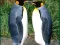 Penguin Puzzle — δωρεάν online παιχνίδι
