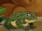 Frogs Matching — δωρεάν online παιχνίδι