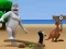 Albatross Overload — δωρεάν online παιχνίδι