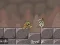 Roly-Poly Eliminator 2 — δωρεάν online παιχνίδι