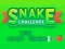 Snake Challenge — δωρεάν online παιχνίδι