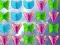 Butterfly Collector — δωρεάν online παιχνίδι